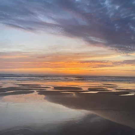 Biscarosse Terasse Barbecue A 150 M De La