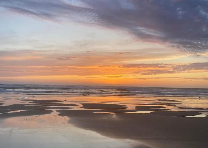 Biscarosse Terasse Barbecue A 150 M De La