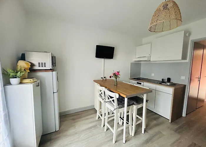 Biscarosse Terasse Barbecue à 150 M De La